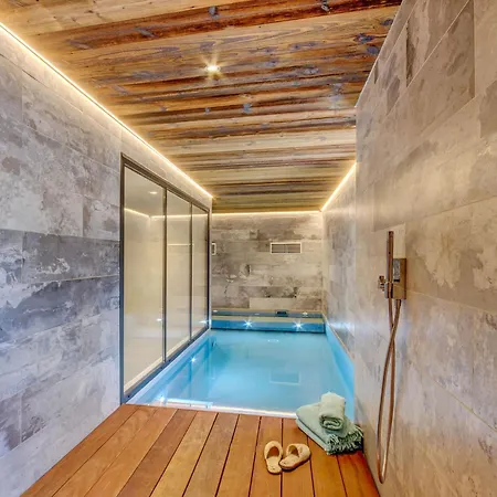De Luxe 5*, 15 Pers., Piscine, Animaux Admis, - Fr-1-304-299 Dağ evi